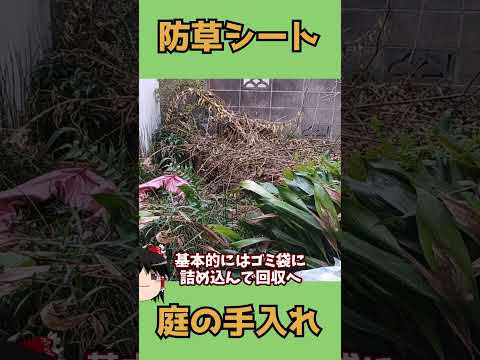 防草シートをはってみた【庭の植木裏】 #shorts