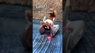Loona robot acting as a kitty #loona #loonarobot #loonapetbot #airobot #petbot #petrobot