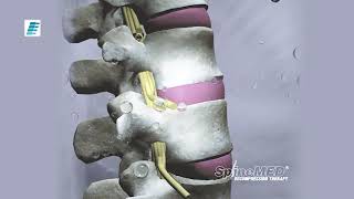 SpineMED - Praxis DR. MAHN & Kollegen