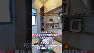 啟德維港雙鑽