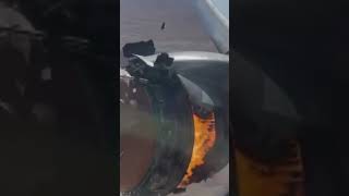 Person gets sucked out an airplane window