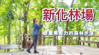 台南離市區30分鍾最舒服的森林秘境🌸順遊新化武德殿