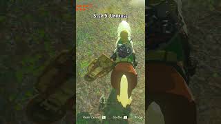 NEW INSANELY FAST RUPEE METHOD (Vendor Scamming) in Tears of the Kingdom 1.2.1 (PATCHEDish)