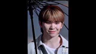 Yellow umbrella + 13 boys = 💙🥰 #SEVENTEEN #carats #BtSvt