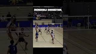 Increíble Set and Attack 🎖️ #volleyball #voleibol #haikyuu #volleyballworld #volleyballplayer