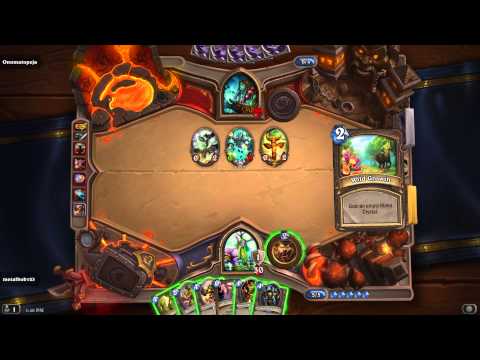 [Hearthstone] Windfury shaman