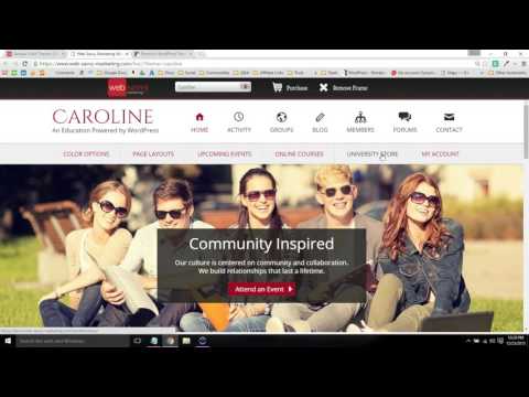 Web Savvy Marketing (Genesis Themes Review)
