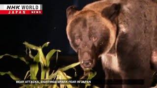 Bear attacks spark fear in JapanーNHK WORLD-JAPAN NEWS