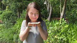 TRINH Leslie TeaRitual