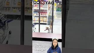 Try not to laugh 😂#funnyvideo #lol #lmao #rofl #happy #haha #trynottolaugh #channel #funny #shorts