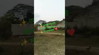 ✨ আল্লাহ'র সৃষ্টি কতই না সুন্দর!  ✨ মাশাআল্লাহ ❤️ #music #love #shortvideoviral