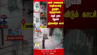 dog || dogbite || chennai || Alandur || thanthitv