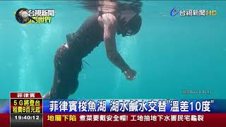 菲律賓梭魚湖湖水鹹水交替溫差10度