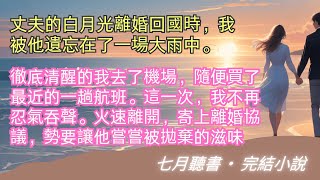 完結小說【詠薇調】丈夫的白月光離婚回國時，我被他遺忘在了一場大雨中。這一次，我不再忍氣吞聲。火速離開，寄上離婚協議。#一口氣看完 #完整版 #小說 #故事 #爽文 #完結
