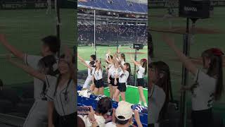 2023 亞冠賽 東京巨蛋 中華隊 CHARGE 嗆司曲 20231119