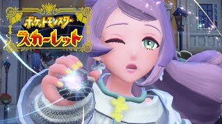 先生たちのテラスタル集