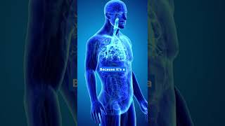 😭 Reasons for your neck pain, headache, jaw pain are your back problems