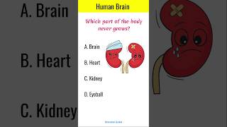 SSC and Competitive Exam | Human Brain | #shortsfeed #generalknowledge #shortsgk #gk #shorts #ssc