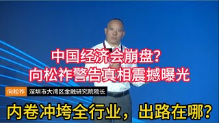 【向松祚的深度警示】中国经济会走向崩盘吗？向松祚在安徽共学年会的震撼演讲，深刻剖析内需不足、房地产泡沫、内卷失控、全球冲突等多重危机，直指中国经济困局的核心。