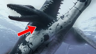 Most Dangerous Animals On The Planet