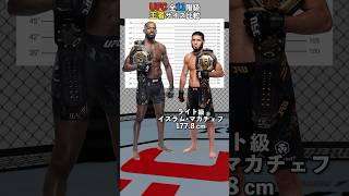 UFC全11階級王者サイズ比較 #rizin #ボクシング #総合格闘技 #朝倉海 #平良達郎 #鶴屋怜