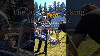 The lamb tail docking surgical table #education #machinery #interesting #technology #invention