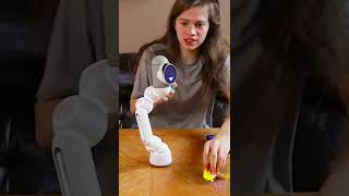 #shorts Programmable Robot