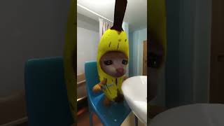 Banana Cat and Whiny Situation   Banana Cat Bad Day 😿