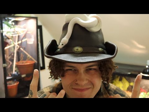 Snakes! Chameleons! And more!