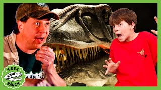 You Won't Believe It! Dinosaur Park Big Surprise | 🦖🦕 T-Rex Ranch Dinosaur Videos
