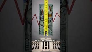 Why the US Economy Shrunk in Early 2025