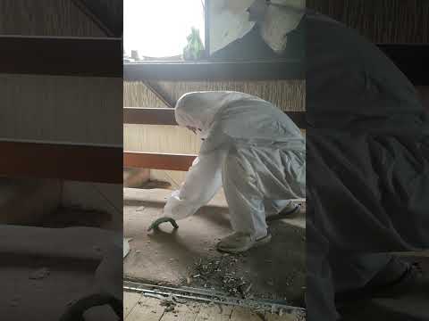 Shocking Fire Damage Clean-up: Carpet Removal in Bearsted, Kent