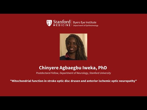 Dr. Iweka’s Presentation