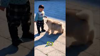 most viral baby dog 🙀🙀💥💥🐕 #music #song #youtubeshorts #cat #petshub #funnypet #cute #funny #shorts