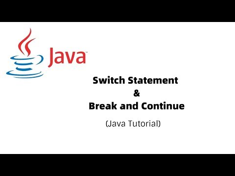 Switch Statement , Break and Continue statement By : Hritik Jaiswal