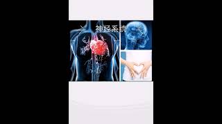 决定是感性的: 需要理性的思考过程