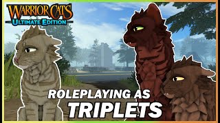 Roleplaying as TRIPLETS | Warrior Cats: Ultimate Edition