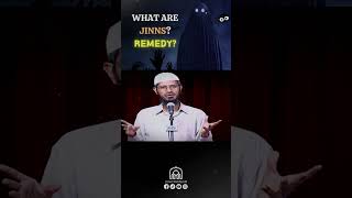What Are Jinns & What's The Remedy? #debate #drzakirnaik #islamicvideo #shorts #jinn
