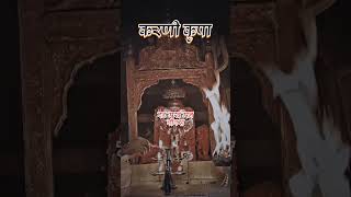 Karni mata status ❤️ karni mata bhajan ❤️🙏 #karni_mata_status_video #hindubhajan #bhaktisong