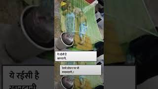 funny videos #shorts #shorrfeed