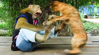SMART SokYaa Pushes PUPPY Friend Away Like I Need Space! This Will Make You LAUGH OUT LOUD!