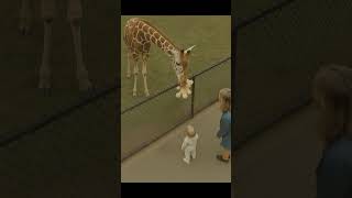 The Giraffe Returns the Teddy Bear 🧸🦒❤️
