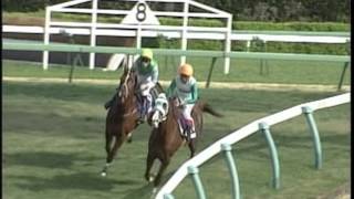 中山グランドジャンプ 2006年 カラジ