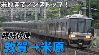 【前面展望】米原まで40分間ノンストップ！130km/hまでは行かずともかなりの快走！北陸本線 臨時快速 敦賀→米原 223系1000番台