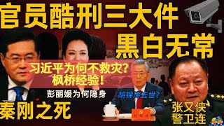 恐怖！中共针对官员的酷刑“三大件”“黑白无常”，秦刚遭酷刑失误致死 | 彭丽媛为何隐身 | 胡锦涛、齐心朝不保夕，正国级去世，死亡还挑时间？| 习近平不再抗洪救灾？调兵权|枫桥经验|张又侠警卫连