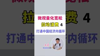 微观量化宽松 4  拉动消费-金融创新 打通中国经济内循环|宏观经济学家|亚当·斯密|凯恩斯|哈耶克|现代MMT|金科玉律|模仿|创新|美元发行|颠覆式金融创新|中国经济|底牌|全产业链体系
