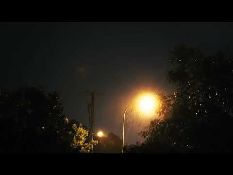 Raining while looking at a street light surrounded by trees