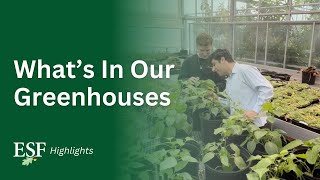 Take a Peek at Our Greenhouses | SUNY ESF Mini-Tour