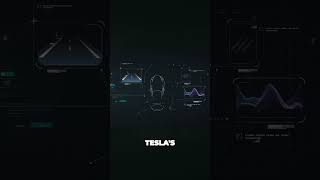 Tesla Auto Pilot FSD v12 Next Level Assistance #shorts