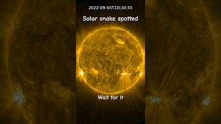 Something just slither across the Sun #Sun #Science #Space #SunSnake #Plasma #spacediscovery